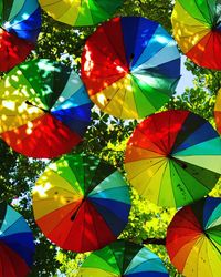Low angle view of umbrellas