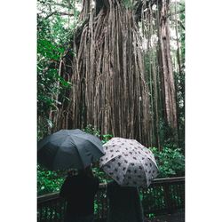 Rear view of woman standing by tree trunk