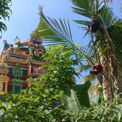 Low angle view of statue against trees