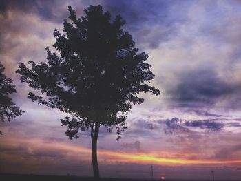 Low angle view of tree against cloudy sky