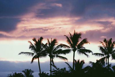 Low angle view of silhouette palm trees against cloudy sky during sunset