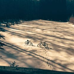 Bicycle on road against sky