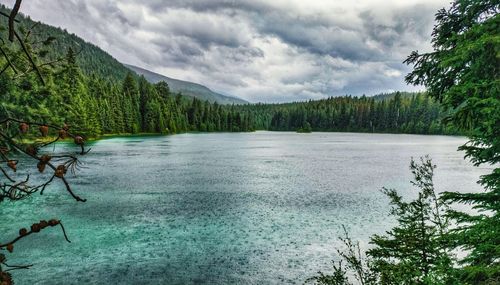 Scenic view of lake in forest against sky