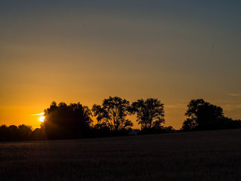 Silhouette trees on field against sky during sunset