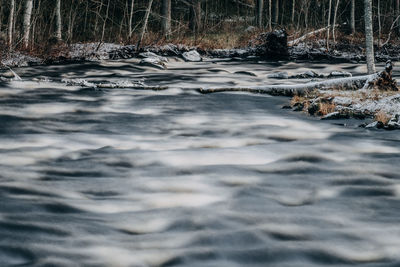 Surface level of river flowing in forest