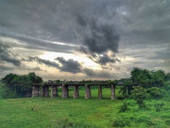 Trees on field against storm clouds