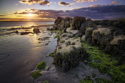 Scenic view of sea during sunset