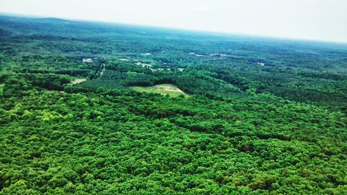 Scenic view of landscape