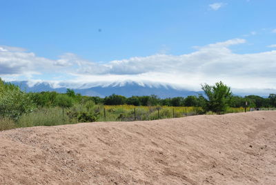 Scenic view of agricultural field against sky