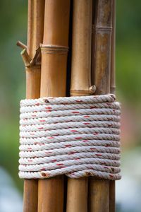 Close-up of rope tied on bamboo