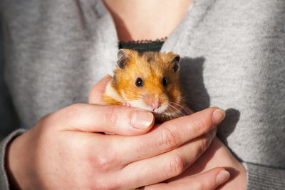 Close-up of hand holding hands