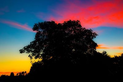 Silhouette of trees at sunset