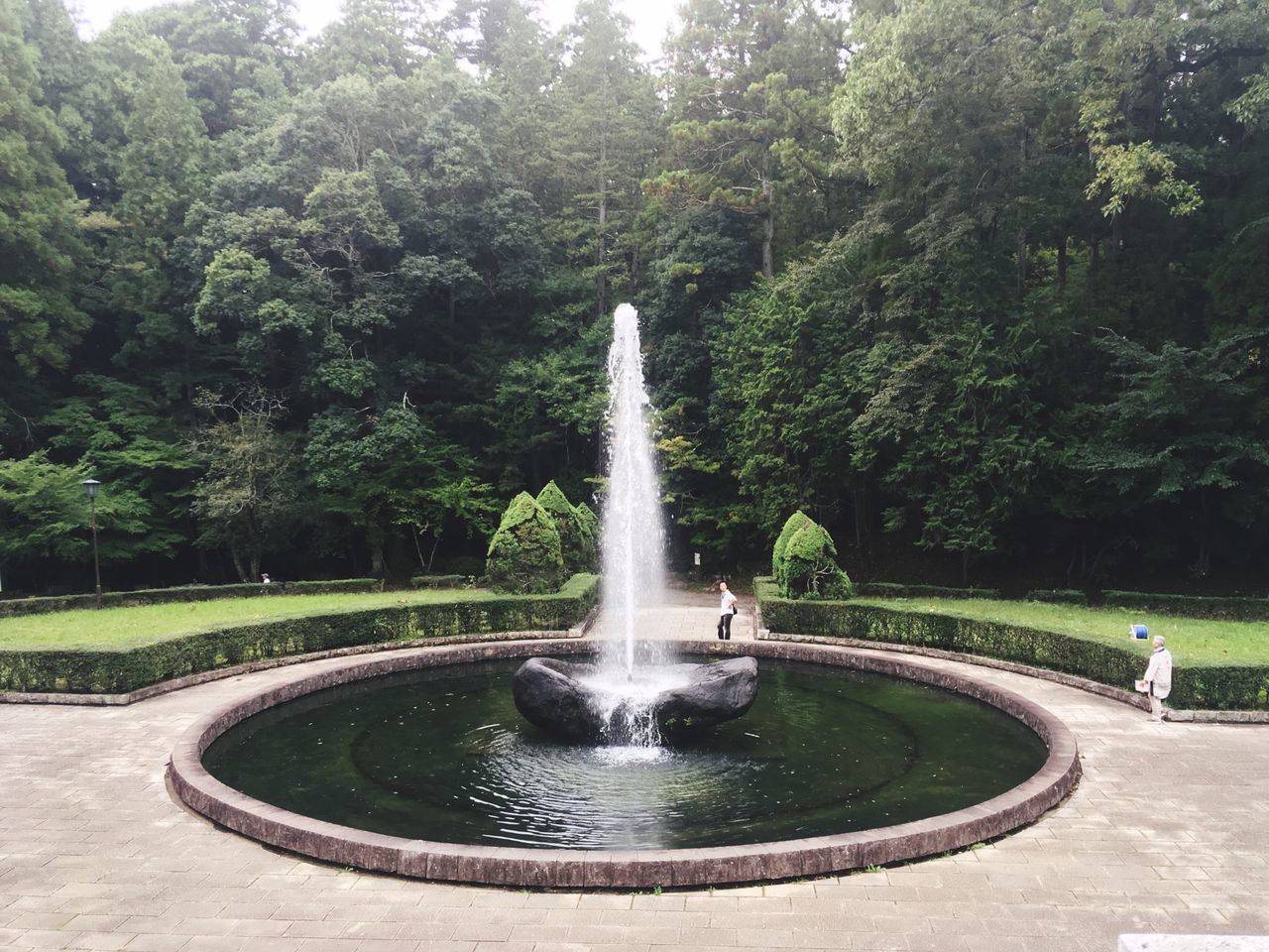 FOUNTAIN IN PARK AGAINST TREES
