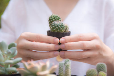 Close-up of hand holding potted plant