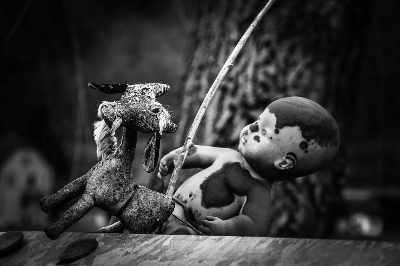 CLOSE-UP OF BOY PLAYING WITH BUTTERFLY