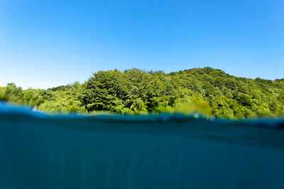 Underwater view of plitvice lakes, croatia