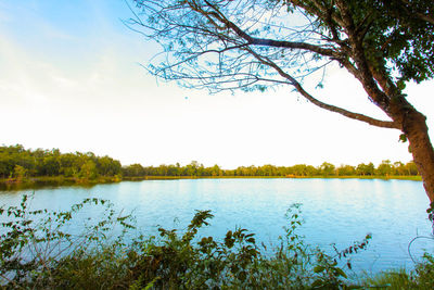 Scenic view of lake against clear sky