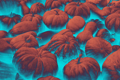 Full frame shot of vegetables