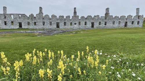 View of old ruins in field