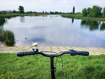 Bicycle near a lake with swan and ducks