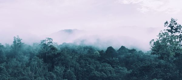 Scenic view of foggy weather against sky