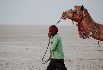 Full length of a horse on the beach