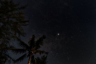 Low angle view of silhouette tree against sky at night