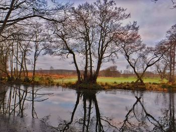 Scenic view of lake against sky