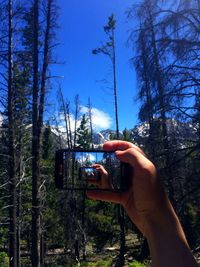 Cropped image of person holding smart phone