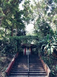 Staircase in building