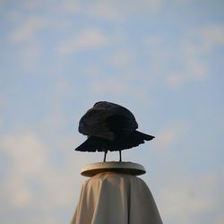 Low angle view of sculpture against cloudy sky