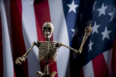 Close-up of human skeleton against flag