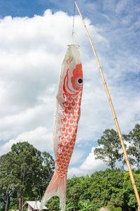 Low angle view of fish hanging against sky