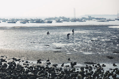 People on beach against clear sky