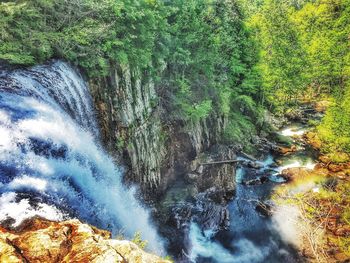 View of waterfall in forest