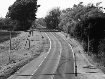 Empty road along trees