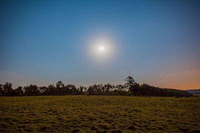 Scenic view of landscape against clear sky