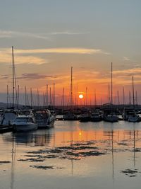 Sailboats moored in marina at sunset