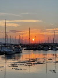 Sailboats moored in marina at sunset