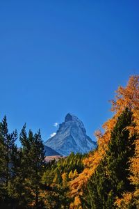 Scenic view of trees and mountains against clear blue sky