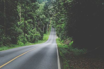 Empty road amidst trees in forest