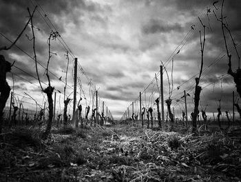 Storm clouds over dramatic sky