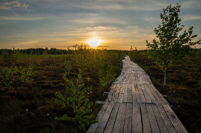 Wooden ecological trail in the reserve at sunset yelnia bog, belarus