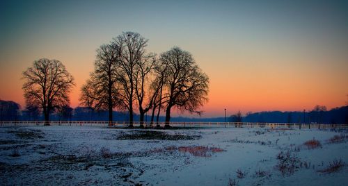 Silhouette bare trees on snowy field against clear sky at dusk