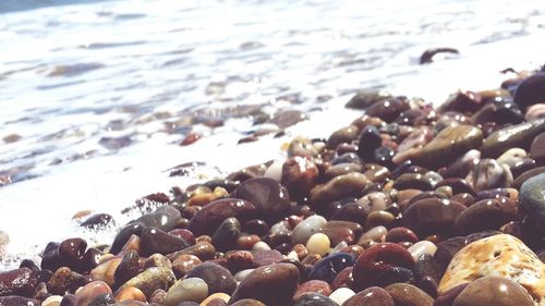 Rocks in sea