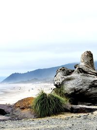 Rocks on beach against sky