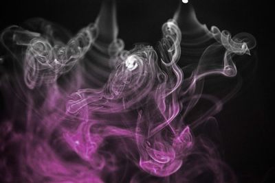Close-up of jellyfish against black background