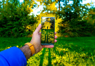 Cropped hand holding smart phone against trees in park