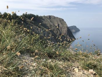 Scenic view of sea shore against sky