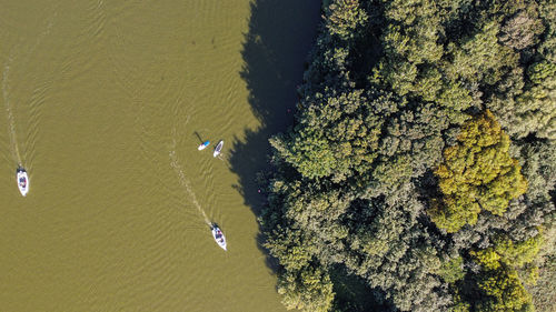 Lake boats at fairhaven lake 